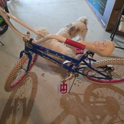 Seastar Huffy Bike  12"