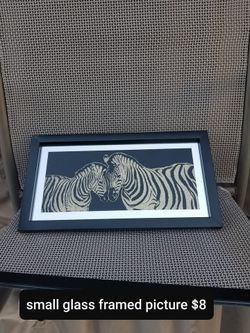 Small Zebra Picture 