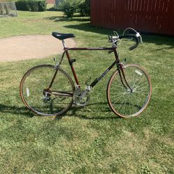 Schwinn sprint 10 speed shop