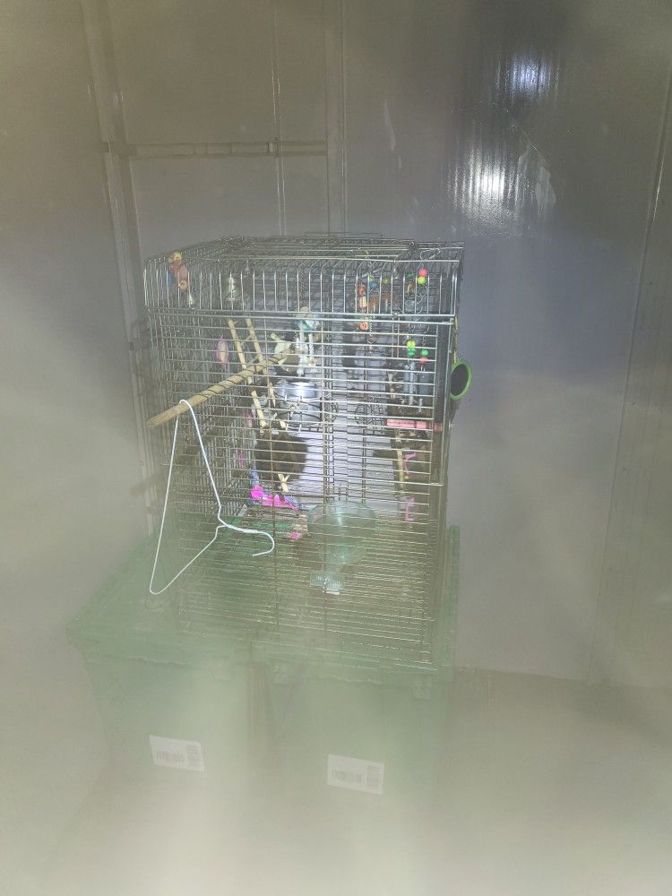 Bird Cage