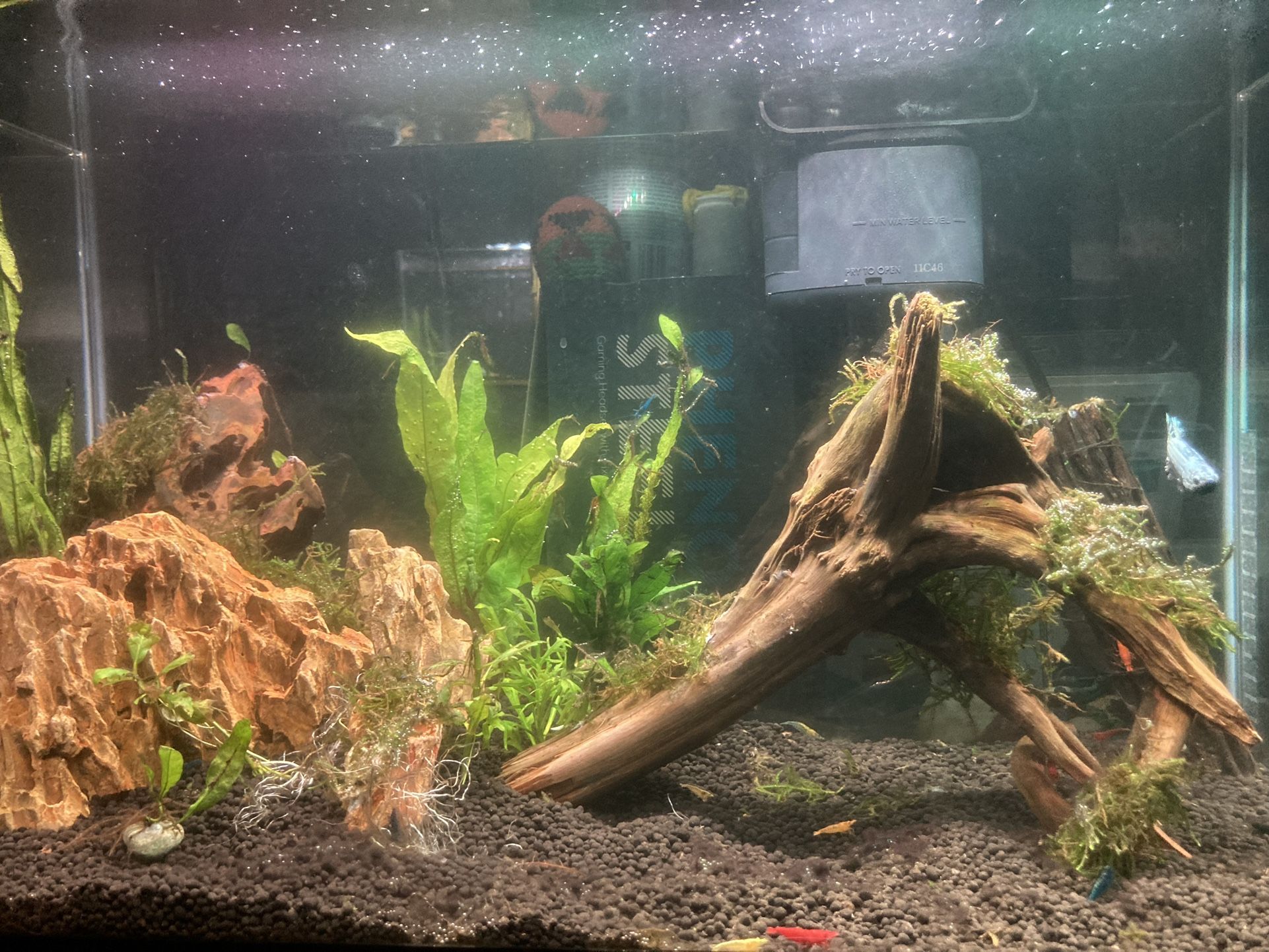 10 Gallon Fish Tank 
