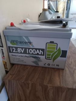 TCBWORTH 12.8V 100Ah battery