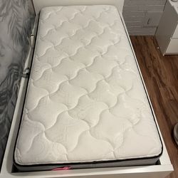 Two Twin Mattresses