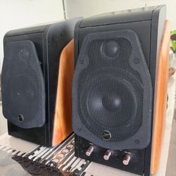 Swans Speakers