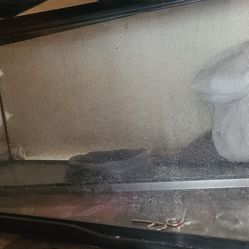 20 Gallon Snake Cage