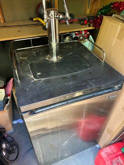 Kegco dual tap dispenser
