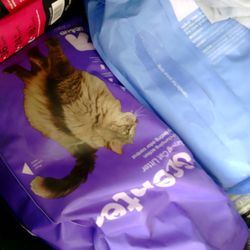 Hi I Have Big Bags Of Cat Litter Asking For $7 For  One Bagg Thank U 