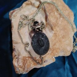 Fossilized "Creature" In Sterling Setting with chain