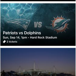 Miami Dolphins Vs New England Patriots 