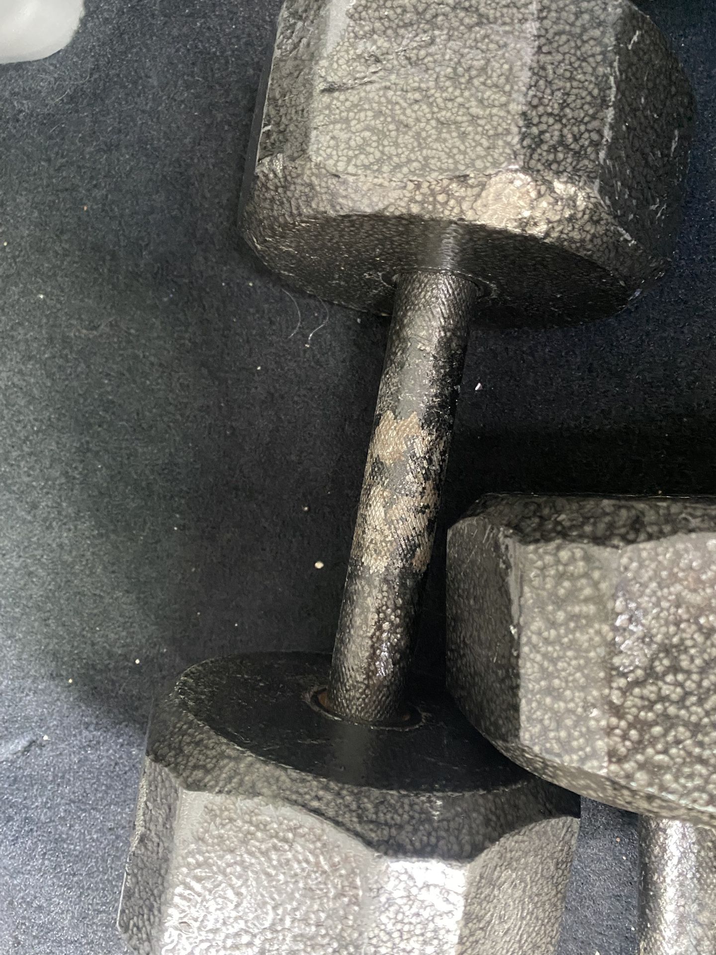 F R E E 15 Lb Dumbbells