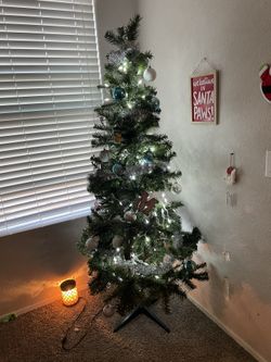 6ft Alberta Spruce Tree