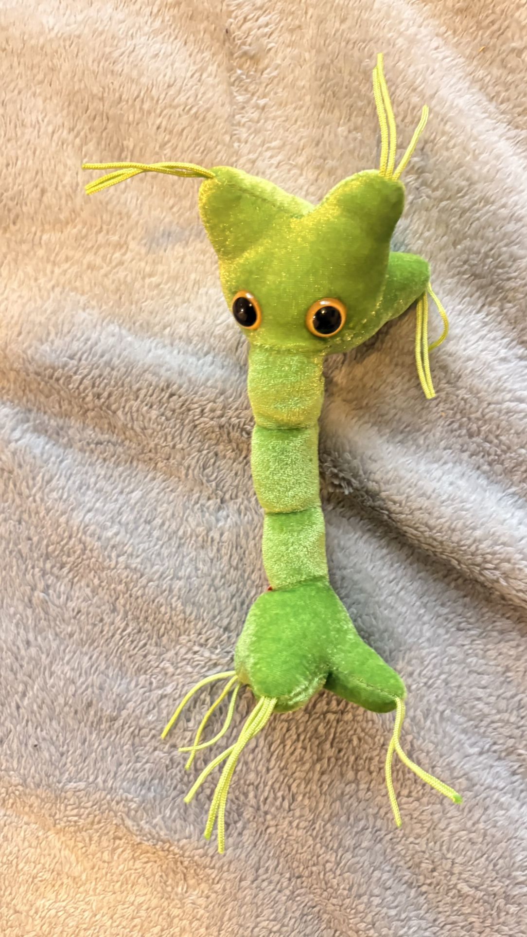 GIANT MICROBES NERVE CELL Stuffed Plush Neuron Synapse Biology Medical Science
