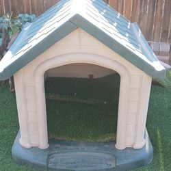 Dog House 