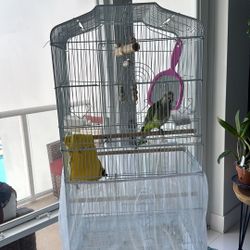 Bird Cage 