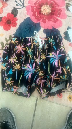 Chubbies swim trunks