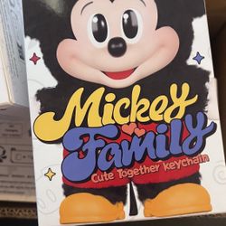 DISNEY LABUBU FROM POPMART 