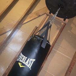 Everlast Punching Bag