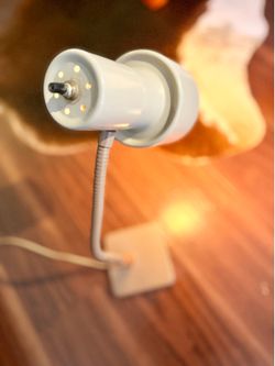 Vintage Desk Lamp + Bulb