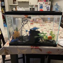 fish tank