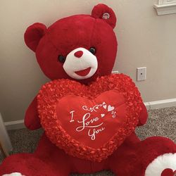 Large Bear For $20