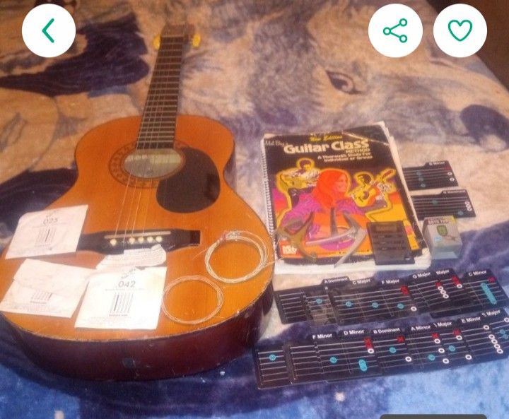 Horner Guitar And Assessors