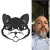EL GATO