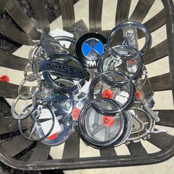 Lot Of 24 Car Emblems 