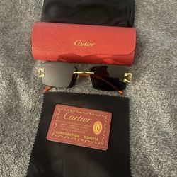 Cartier sunglasses