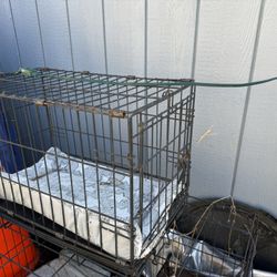 Dog Crates 