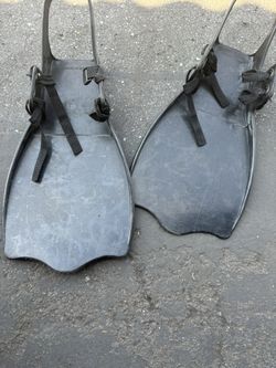 Scuba Diving
