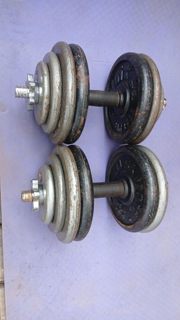 Adjustable Dumbbells Each 55lb weights.