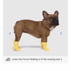 Waterproof Dog Boots 