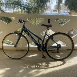 Schwinn Bike