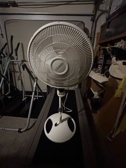 White fan