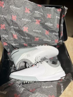 Payntr shoes