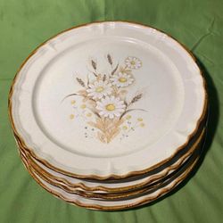 4 🌼 Daisy/Wheat Stoneware Japan Nice Dinner Plates 1970’s 
