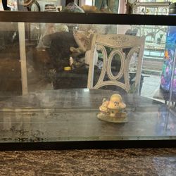 Large Rectangular Aquarium 