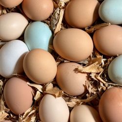 Fresh Unwashed Organic Eggs