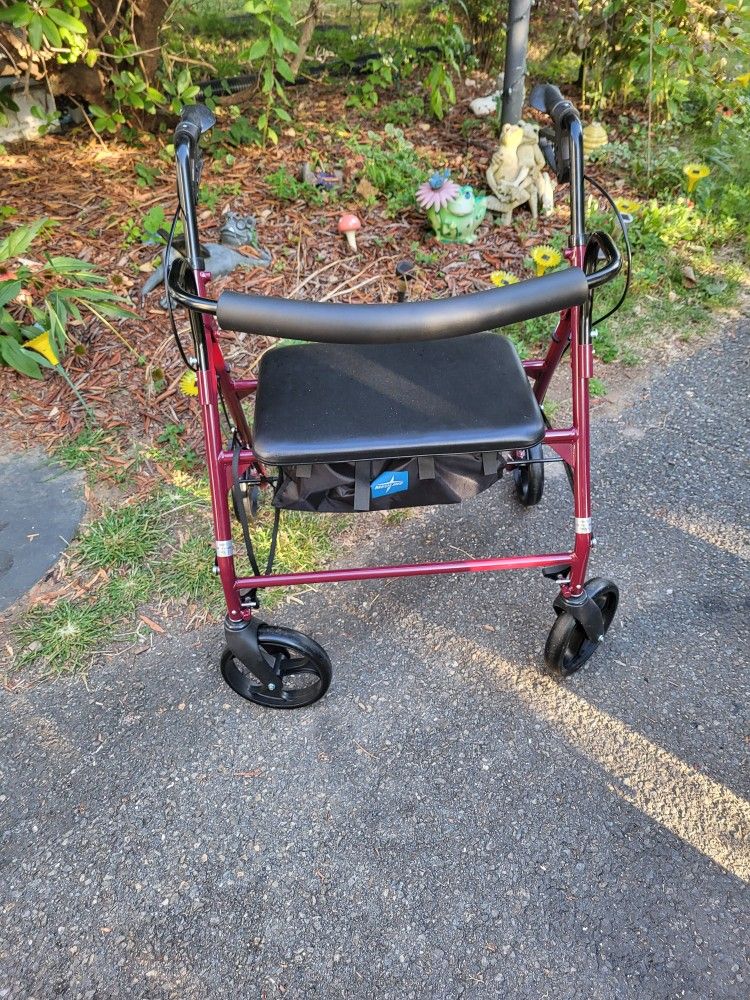 Large Walker 
