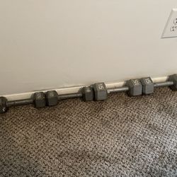 Dumbbells / Free-weights 