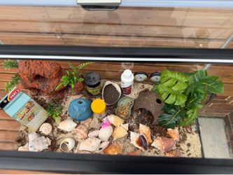Hermit Crab Aquarium