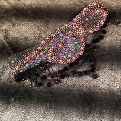 Belly Dancers Hip Belt Performance Quality 