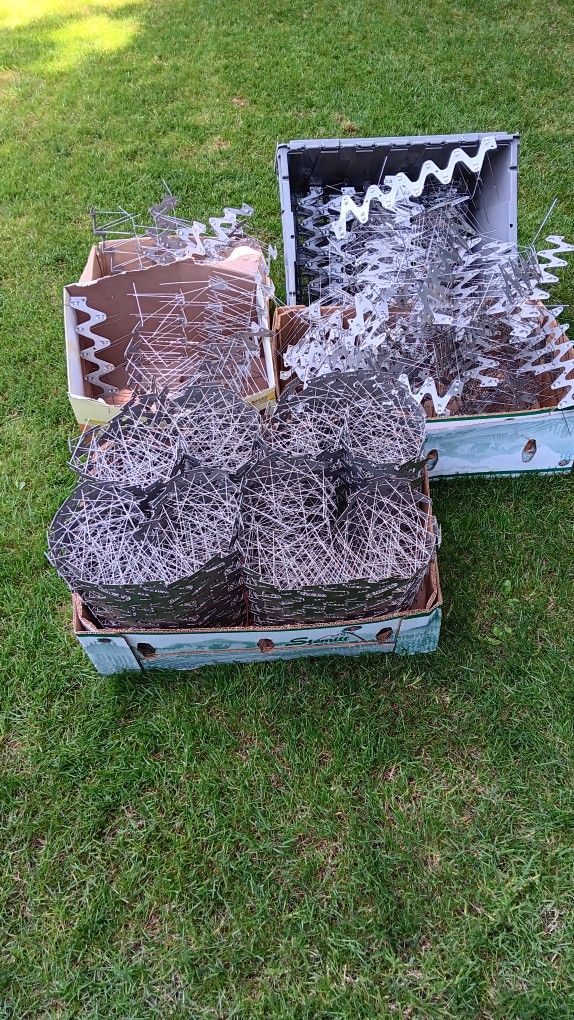 Bird Spikes