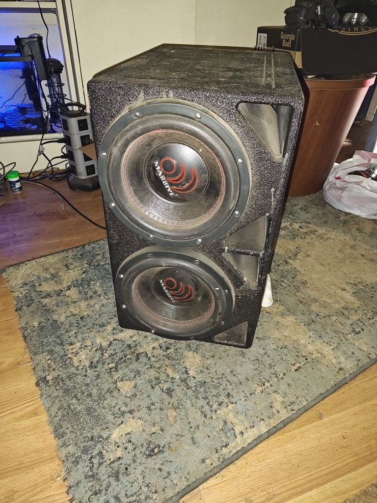 2 10" Dual Voice Coil Speakers With Box