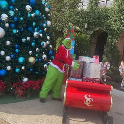 The Grinch Photos