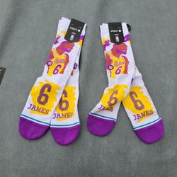 Lebron James Lakers sucks