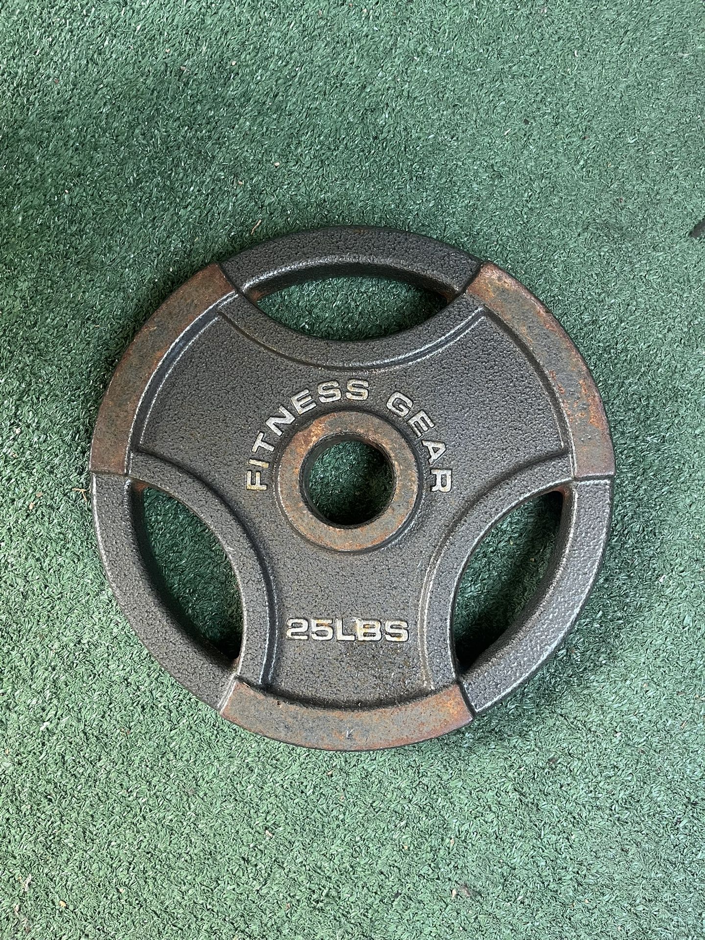 25 LB Iron Weight Plate