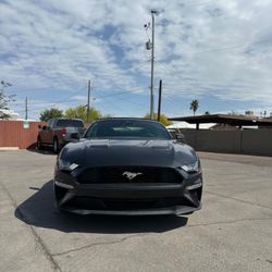 🏎️ 2022 FORD MUSTANG ECOBOOST $2,500 Down Payment 