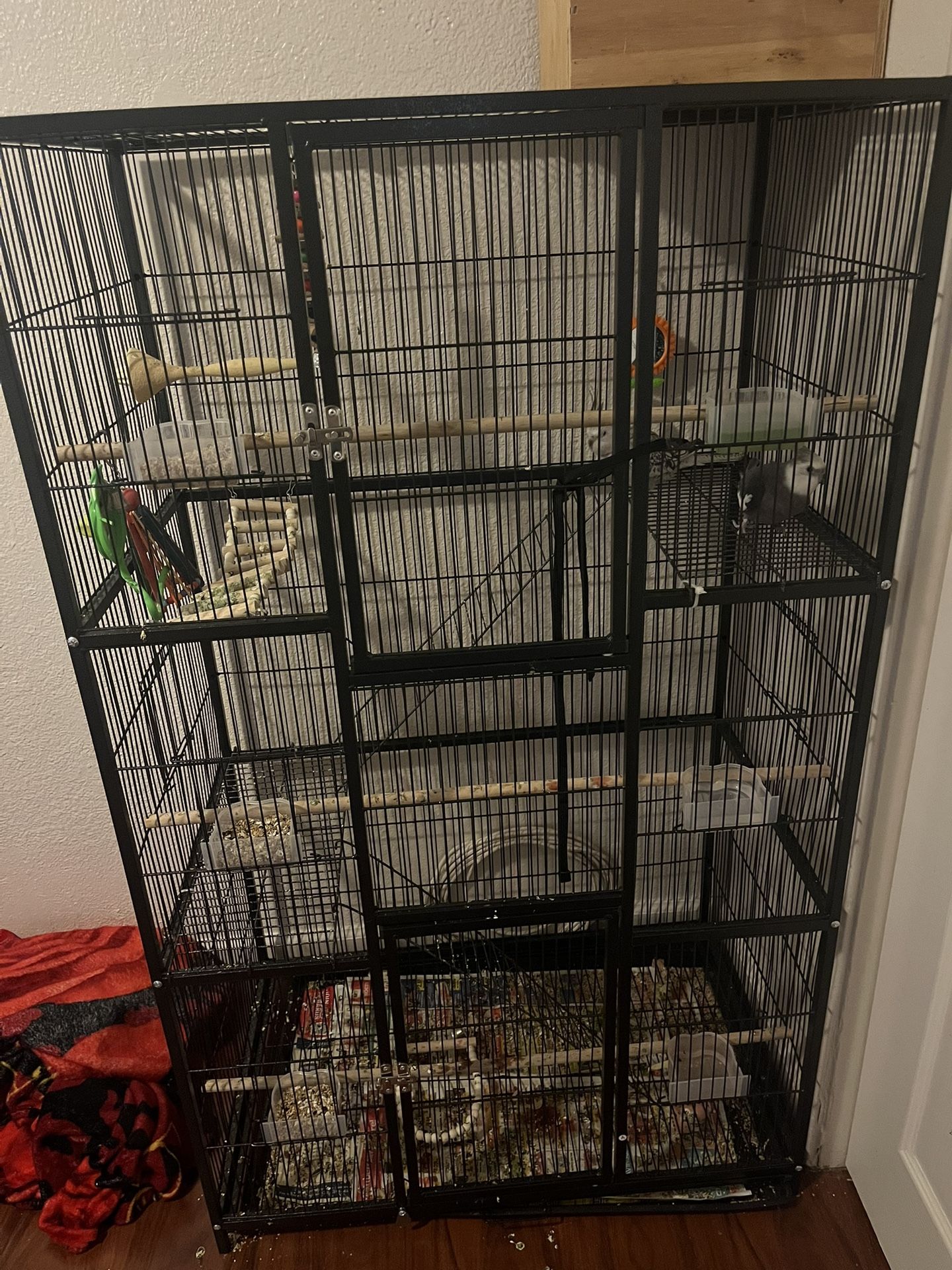 Bird Cage