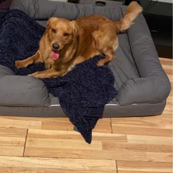 Jumbo Dog Bed 